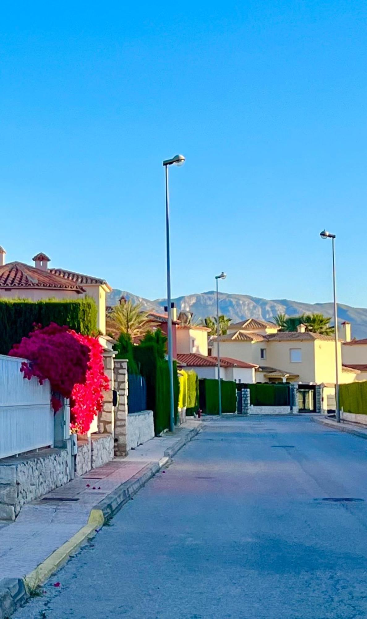 Villa Con Jardin En Oliva Nova Golf A 100M De La Playa Exteriör bild